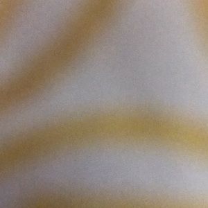 Meet your Posher, Shawan